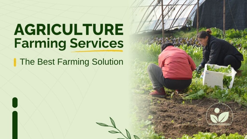 Green And White Organic Agriculture Business YouTube Thumbnail 1024x576